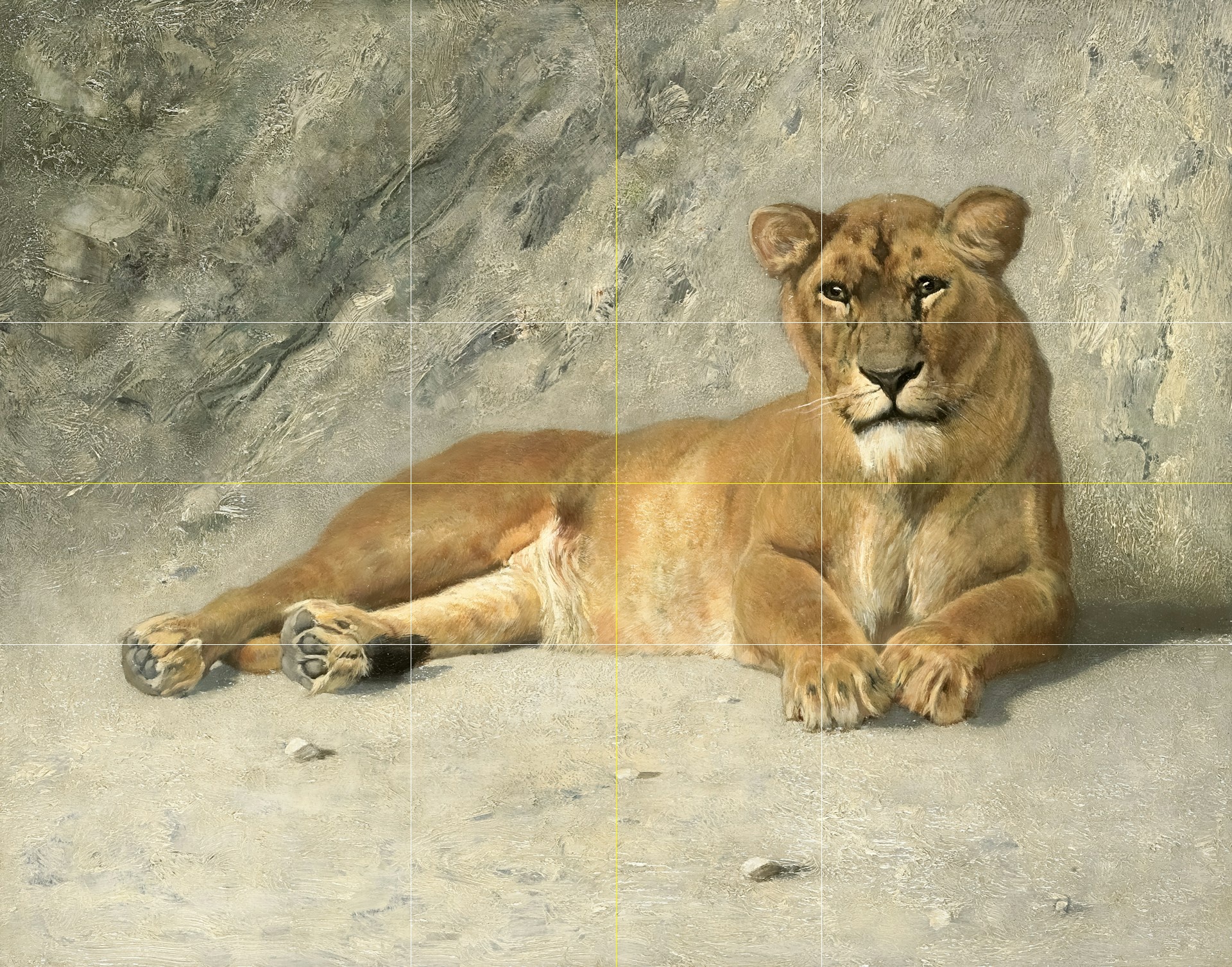 atelier-tools rule of thirds Lioness Resting